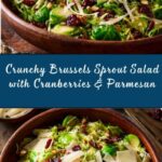 Brussels Sprout Salad with Cranberries and Parmesan Recipe