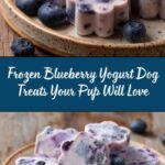 Blueberry Yogurt Paw Treats for Dogs Recipe