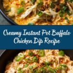 Instant Pot Buffalo Chicken Dip Recipe